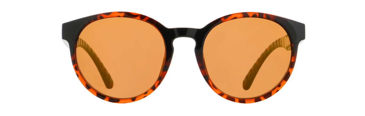 Red Bull Spect EVER sunglasses brown-black with brown lenses