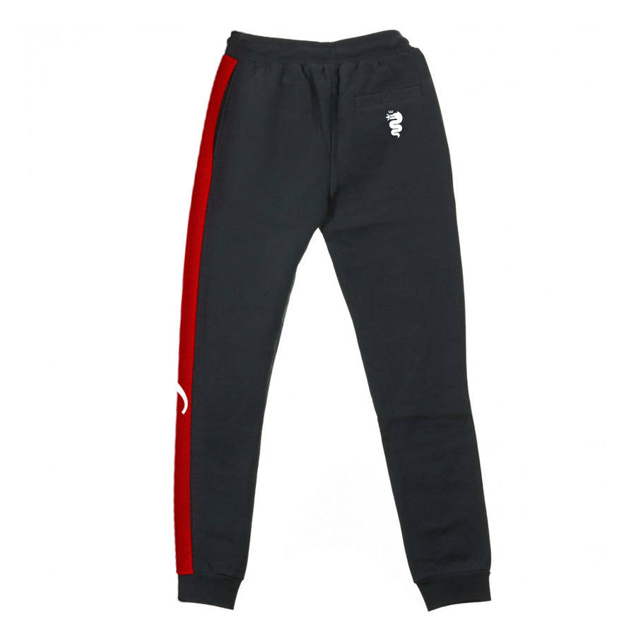Pantaloni de trening Alfa Romeo cu logo AR gri închis