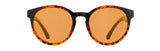 Red Bull Spect EVER sunglasses brown-black with brown lenses