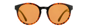 Red Bull Spect EVER sunglasses brown-black with brown lenses
