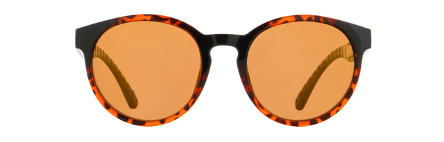 Red Bull Spect EVER sunglasses brown-black with brown lenses