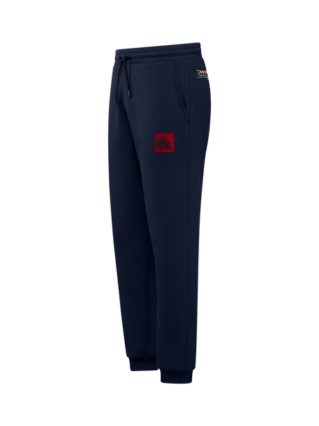 Pantaloni de trening casual Red Bull Ring CORE cu motiv RRI