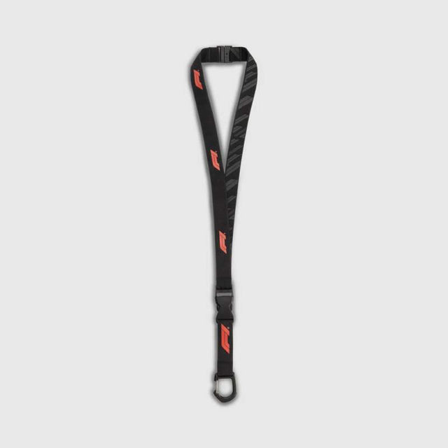 Formula 1 carabiner keyring with F1 logo