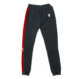 Pantaloni de trening Alfa Romeo cu logo AR gri închis