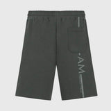 Aston Martin F1 Team AMF1 casual shorts