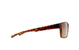 Red Bull Spect CHASE sunglasses brown with brown lenses