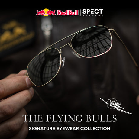 Ochelari de soare Red Bull Spect Lightning TFB maro